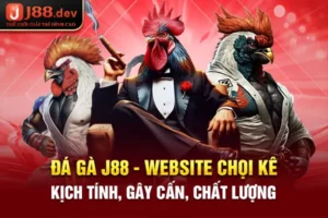 Đá Gà alo bet - Website Chọi Kê Kịch Tính, Gây Cấn, Chất Lượng